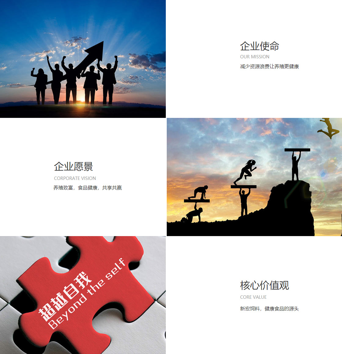 ob视讯官方(图1)